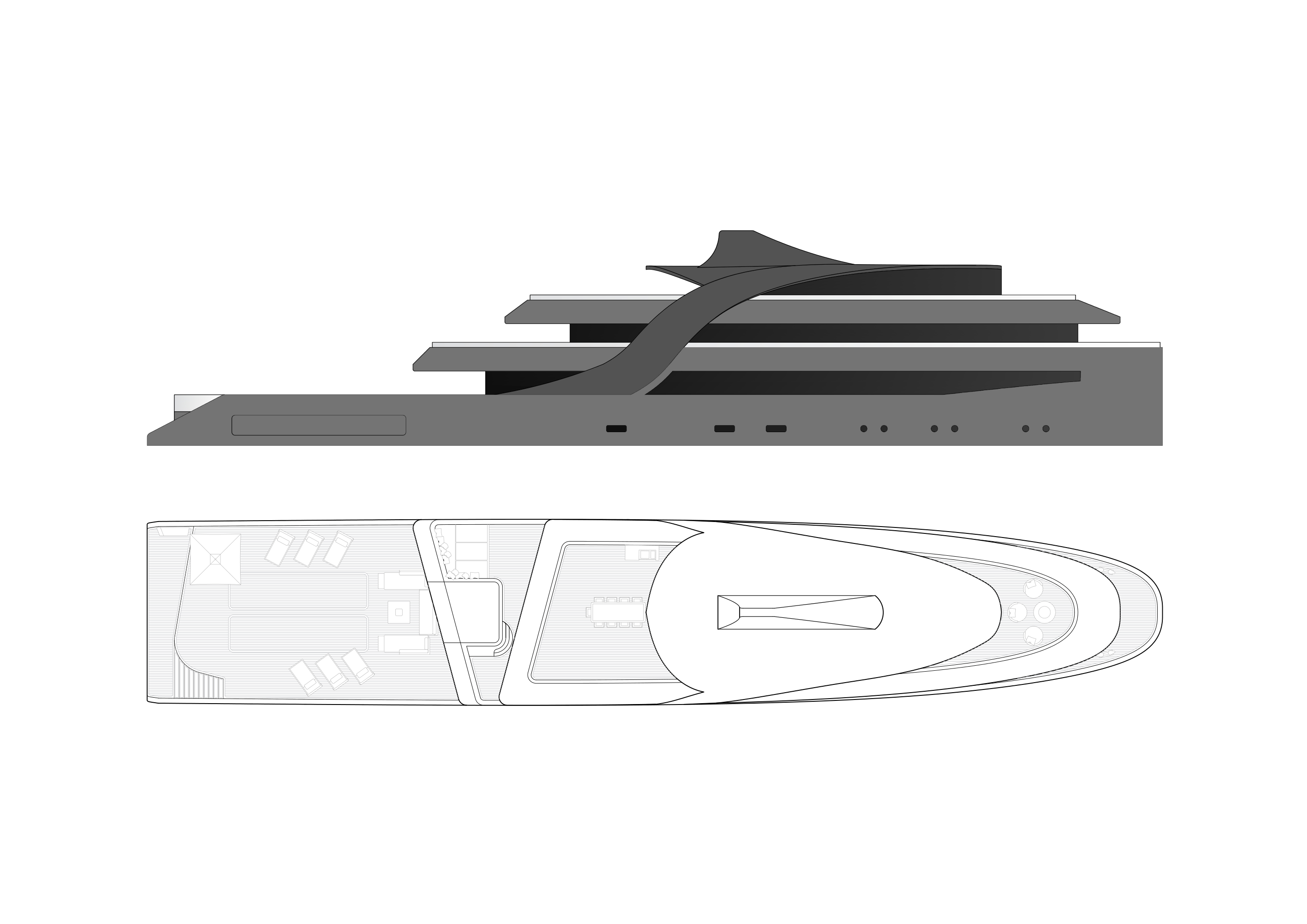 Pirarucu profile and top view